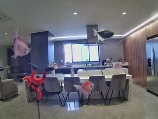 voyeurcam-casa-salsa-fishtank