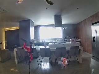 voyeurcam-casa-salsa-fishtank