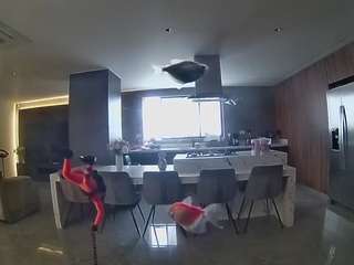 voyeurcam-casa-salsa-fishtank