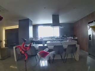 voyeurcam-casa-salsa-fishtank
