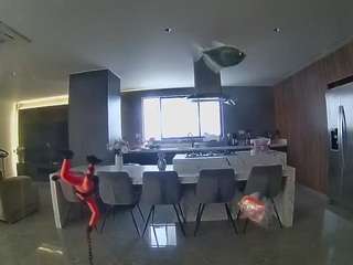 voyeurcam-casa-salsa-fishtank