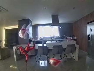voyeurcam-casa-salsa-fishtank