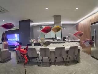 voyeurcam-casa-salsa-fishtank