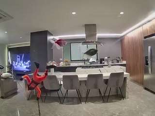 voyeurcam-casa-salsa-fishtank