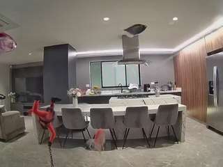 voyeurcam-casa-salsa-fishtank