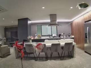 voyeurcam-casa-salsa-fishtank
