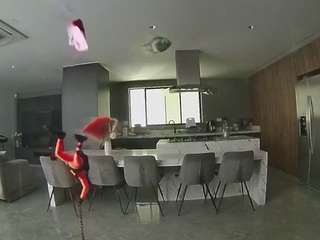 voyeurcam-casa-salsa-fishtank