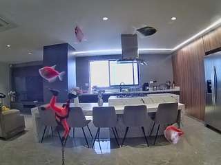 voyeurcam-casa-salsa-fishtank