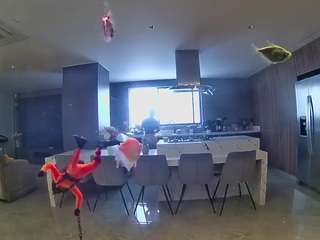 voyeurcam-casa-salsa-fishtank