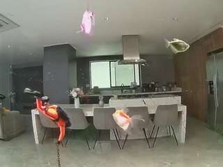 voyeurcam-casa-salsa-fishtank