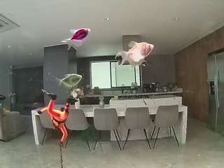 voyeurcam-casa-salsa-fishtank