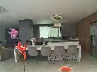 voyeurcam-casa-salsa-fishtank
