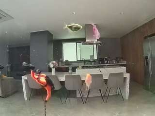 voyeurcam-casa-salsa-fishtank