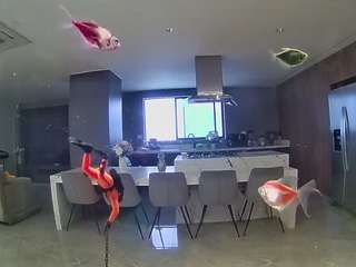 voyeurcam-casa-salsa-fishtank