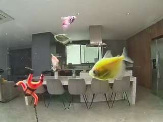 voyeurcam-casa-salsa-fishtank