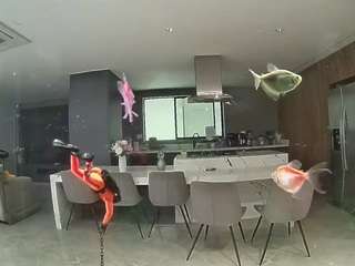 voyeurcam-casa-salsa-fishtank