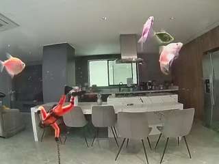 voyeurcam-casa-salsa-fishtank