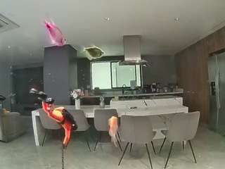 voyeurcam-casa-salsa-fishtank