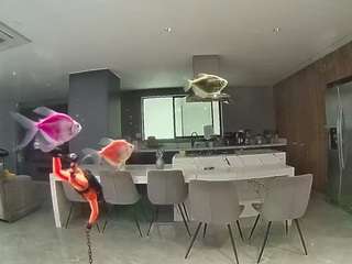voyeurcam-casa-salsa-fishtank