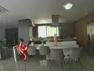 voyeurcam-casa-salsa-fishtank