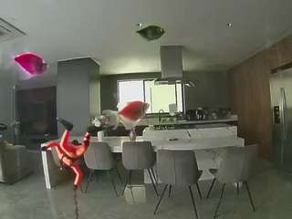 voyeurcam-casa-salsa-fishtank