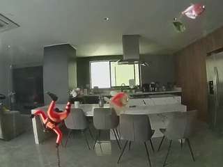 voyeurcam-casa-salsa-fishtank