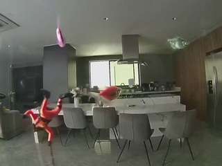 voyeurcam-casa-salsa-fishtank