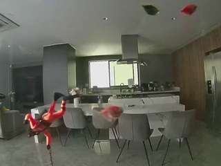 voyeurcam-casa-salsa-fishtank