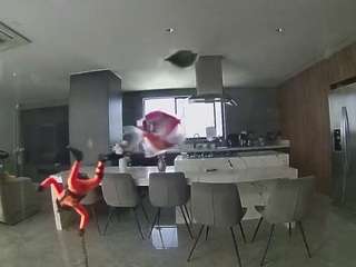 voyeurcam-casa-salsa-fishtank