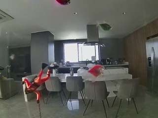 voyeurcam casa salsa fishtank