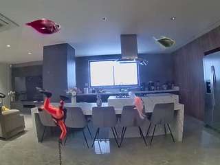 voyeurcam-casa-salsa-fishtank