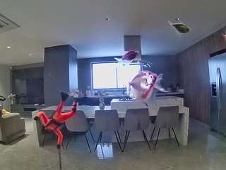 voyeurcam-casa-salsa-fishtank