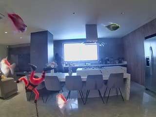voyeurcam-casa-salsa-fishtank