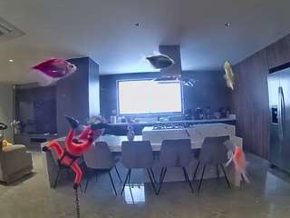 voyeurcam-casa-salsa-fishtank