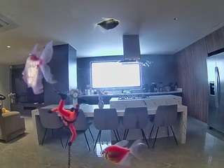 voyeurcam-casa-salsa-fishtank