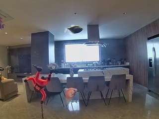 voyeurcam-casa-salsa-fishtank Live Webcam on CamSoda