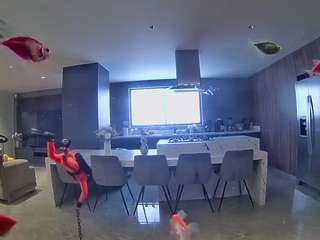 voyeurcam-casa-salsa-fishtank