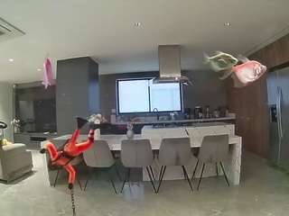 voyeurcam-casa-salsa-fishtank