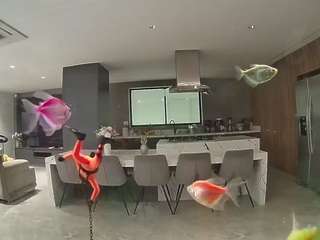 voyeurcam-casa-salsa-fishtank