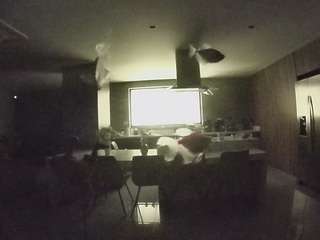 voyeurcam-casa-salsa-fishtank