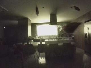 voyeurcam-casa-salsa-fishtank