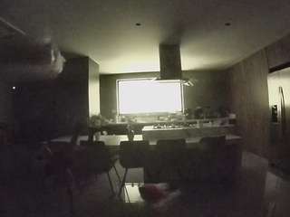 voyeurcam-casa-salsa-fishtank