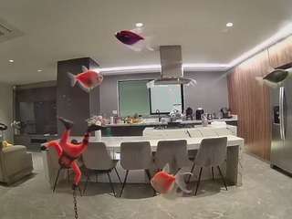 voyeurcam-casa-salsa-fishtank