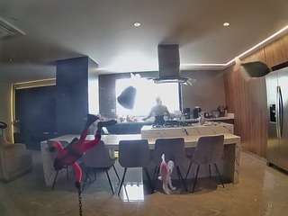 voyeurcam-casa-salsa-fishtank