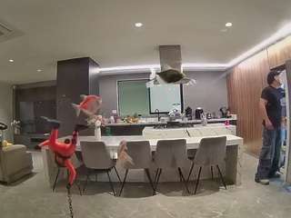 voyeurcam-casa-salsa-fishtank