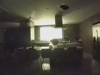 voyeurcam-casa-salsa-fishtank