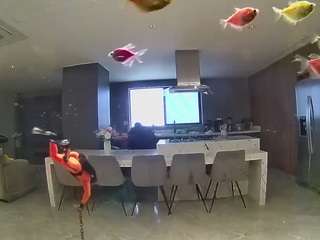 voyeurcam-casa-salsa-fishtank