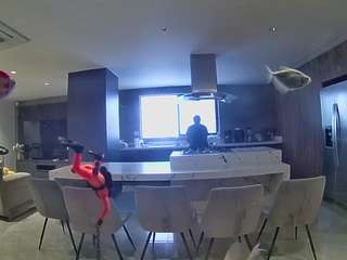 voyeurcam-casa-salsa-fishtank