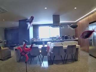 voyeurcam-casa-salsa-fishtank