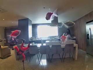 voyeurcam-casa-salsa-fishtank